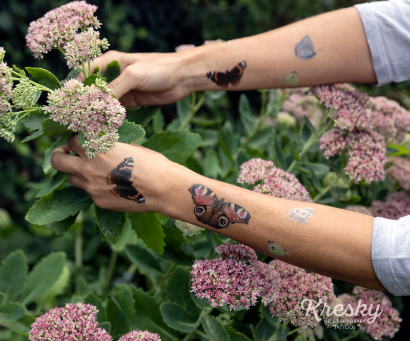 Kresky - Motýle (design by Lena Kollar)