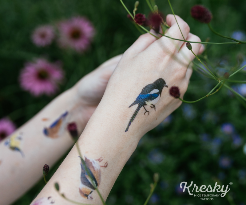 Tetovačky Kresky Vtáky - Lena Kollar