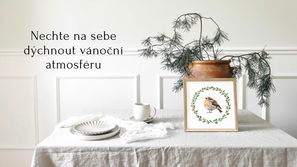 Vánoční červenka