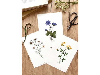 Sada 3 divokých květin