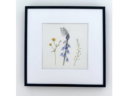 Originál - Motýlí loučka