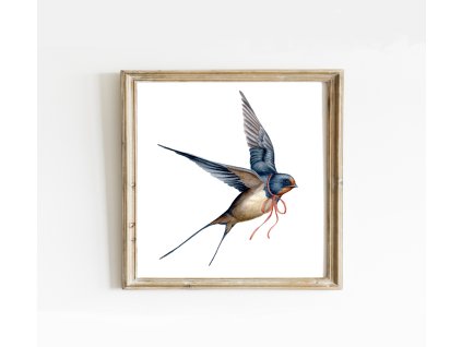 Vlaštovka s pentličkou eshop