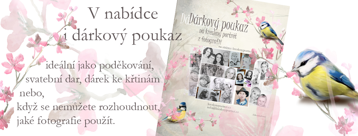 Dárkový poukaz na kreslený portrét