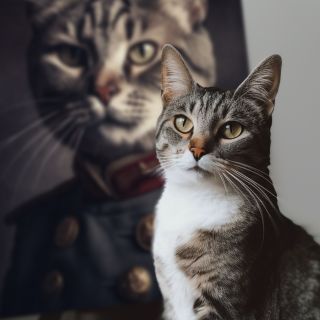 🎄 Co takhle zobrazit vašeho mazlíčka jako generála? S našimi personalizovanými portréty na míru to je možné! 🎄 Zašlete nám...