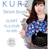 Slaný 15.2.2026