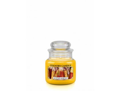 Country Candle Autumn Harvest vonná sviečka mini 1-knôtová (104 g)