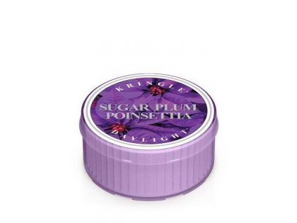 Kringle Candle Sugar Plum Poinsettia vonná sviečka (35 g)