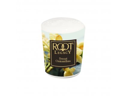 ROOT CANDLES Votivo Sweet Osmanthus