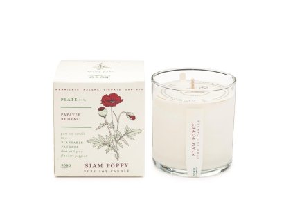 KOBO Plant the Box Siam Poppy vonná sviečka (10oz / 283g)