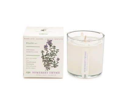 KOBO Plant the Box Somerset Thyme vonná sviečka (10oz / 283g)