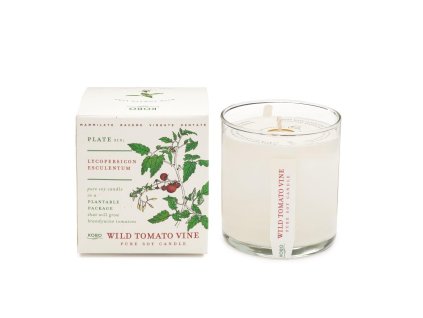 KOBO Plant the Box Wild Tomato Vine vonná sviečka (10oz / 283g)