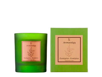 Vila Hermanos Aromathologie Eucalyptus vonná sviečka 200g