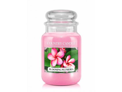 Country Candle Blooming Plumeria vonná sviečka veľká 2-knôtová 652g ZAFARBENÁ