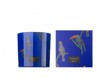 Vila Hermanos Jungletopia Toucan Rainforest vonná sviečka 650g