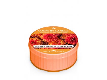 Country Candle Golden Mums & Honey Crisp Tonka vonná sviečka (42 g)