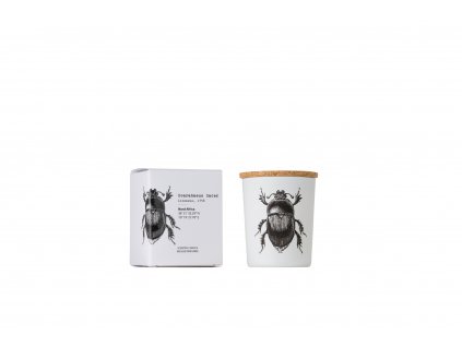 Vila Hermanos Insect Scarabeus Sacer vonná sviečka s dreveným knôtom 75g