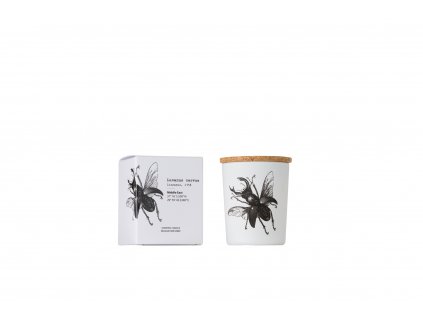 Vila Hermanos Insect Lucanus Cervus vonná sviečka s dreveným knôtom 75g