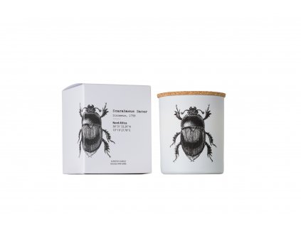 Vila Hermanos Insect Scarabeus Sacer vonná sviečka s dreveným knôtom 190g