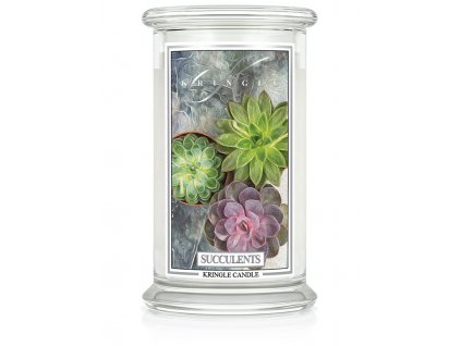 Kringle Candle Succulents vonná sviečka veľká 2-knôtová (624 g)