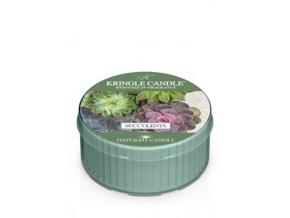 Kringle Candle Succulents vonná sviečka vonná sviečka (42 g)