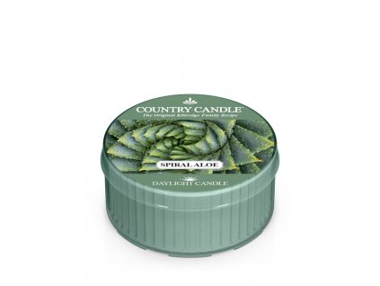 Country Candle Spiral Aloe vonná sviečka (42 g)