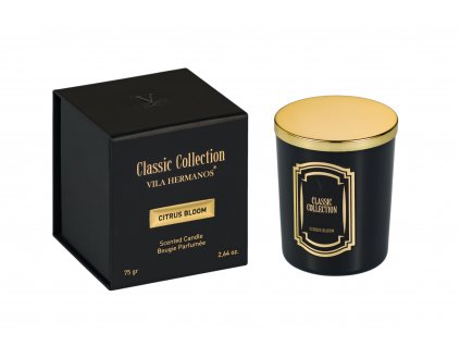 Vila Classic Citrus Bloom vonná sviečka 75g