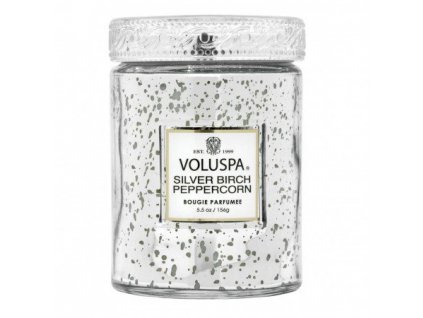 voluspa silver birch small jar