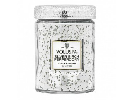 Voluspa Vermeil Silver Birch & Peppercorn Small Jar vonná sviečka (5.5oz / 156g)