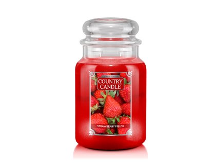 CC LE large jar strawberry fieldss copy