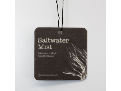SaltwaterMist whiteBkgrd V2