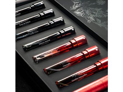 Ladenac discovery set3