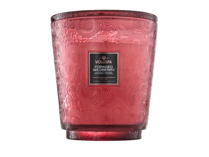 Voluspa Japonica Foraged Wildberry Hearth vonná sviečka 3,5kg