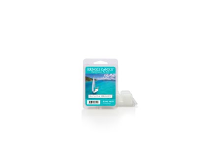 waxmelt sea salt bergamot copy