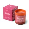 Paddywax WELLNESS Red - Breathe vonná sviečka 5oz / 141g