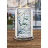 Kringle Candle Winter Cypress vonná sviečka veľká 2-knôtová (624 g)