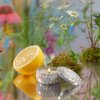 Voluspa Maison Blanc Wildflowers Mini Tin Candle 113g