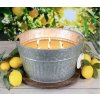 Milkhhouse Candle Monster candle 9lb Hey Sunshine