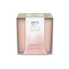 gdc ipuro essentials young line time for a hug 125g kerze uv frontal 01 1107x1200
