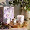 Voluspa Maison Blanc Mountain Lavender & Chamomile Classic Candle 270g