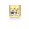 KC 852 blueberry lemon bars yellow spangle lit jar copy