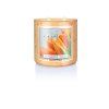 KC 852 tangerine tulips orange spangle lit jar copy