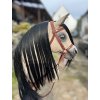Jasper hobby horse (zn. Kristy. M Ranch)
