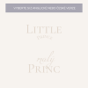 Malý princ Little prince design pro děti