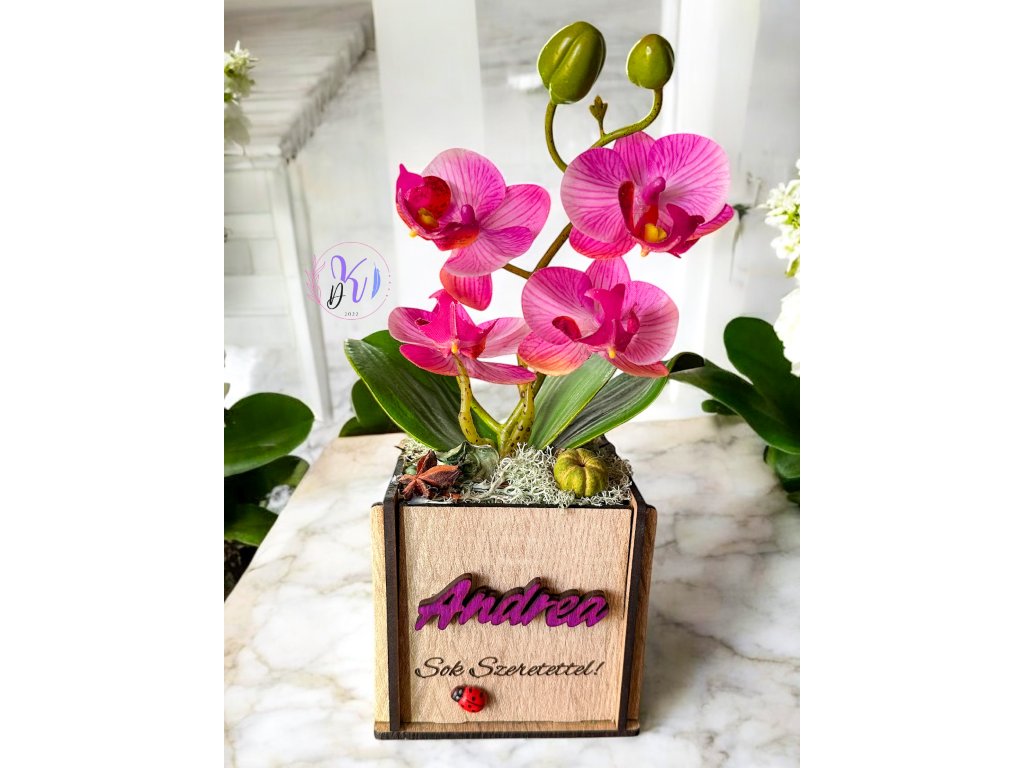 DEKOR ORCHIDEA FA KASPÓBAN KATICÁVAL  LILA