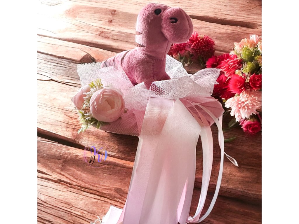 OVIS/BÖLCSIS BALLAGÓ CSOKOR DINO