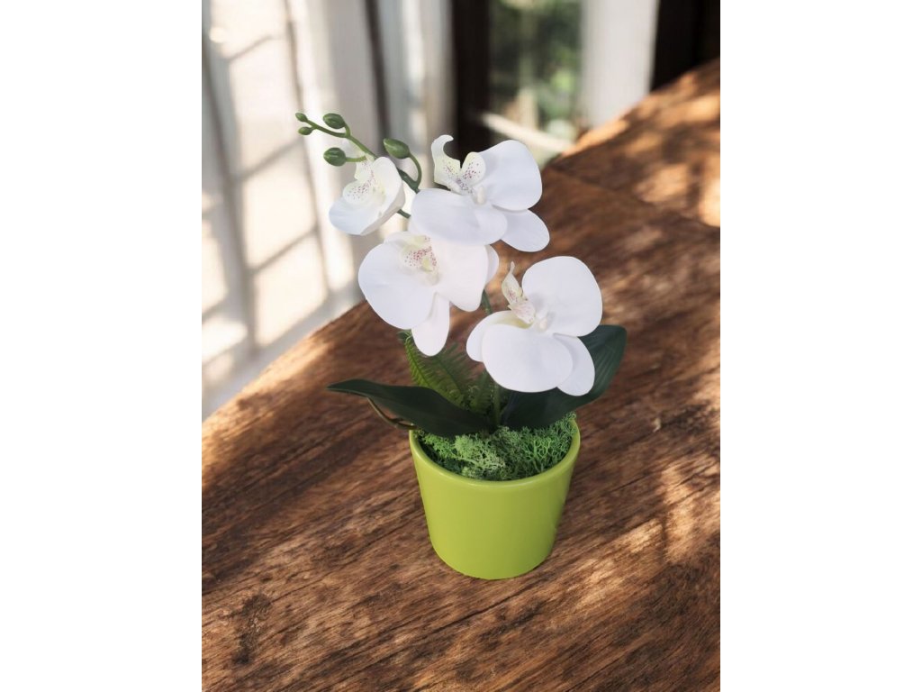 DEKOR ORCHIDEA KASPÓBAN KICSI FEHÉR