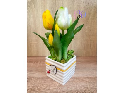 DEKOR TULIPÁN KASPÓBAN AJÁNDÉK TÁBLÁCSKÁVAL  FEHÉR ÉS CITROM