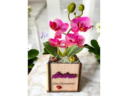 DEKOR ORCHIDEA FA KASPÓBAN KATICÁVAL  LILA
