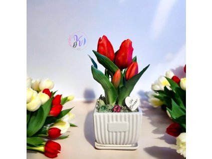 DEKOR TULIPÁN KASPÓBAN  VÁLASZTHATÓ AJÁNDÉK TÁBLÁCSKÁVAL PIROS