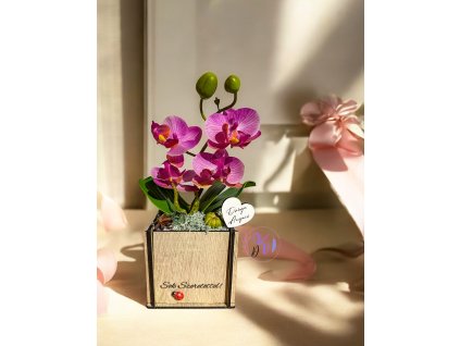 DEKOR ORCHIDEA FA KASPÓBAN KATICÁVAL LILA